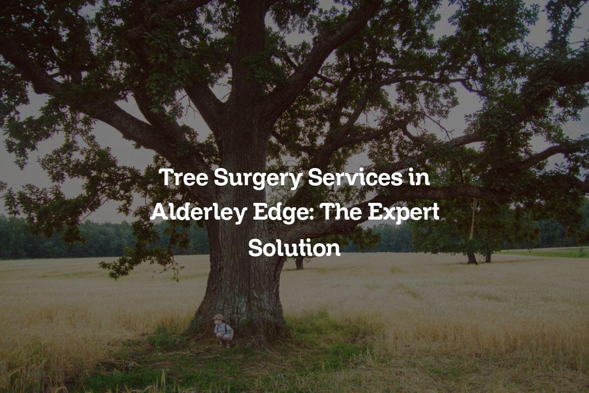 You are currently viewing Tree Surgery Services in Alderley Edge: The Expert Solution