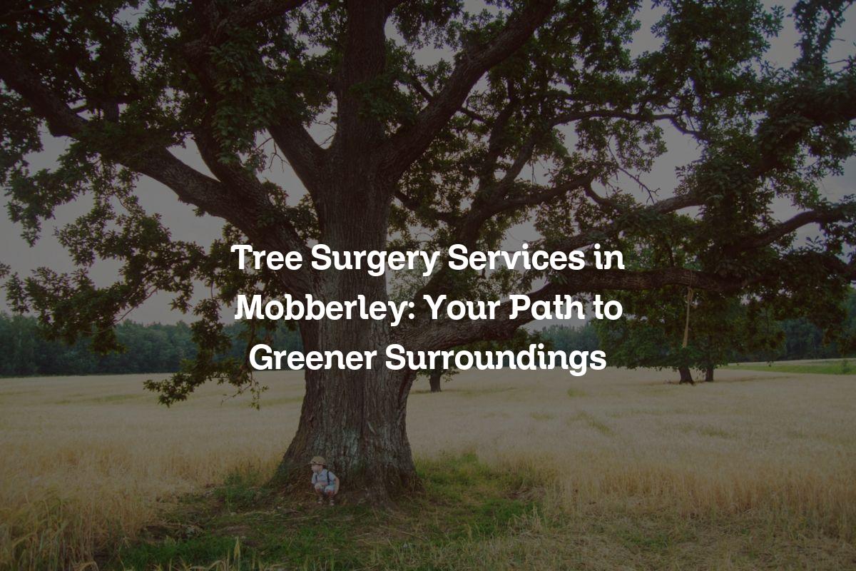 You are currently viewing Tree Surgery Services in Mobberley: Your Path to Greener Surroundings