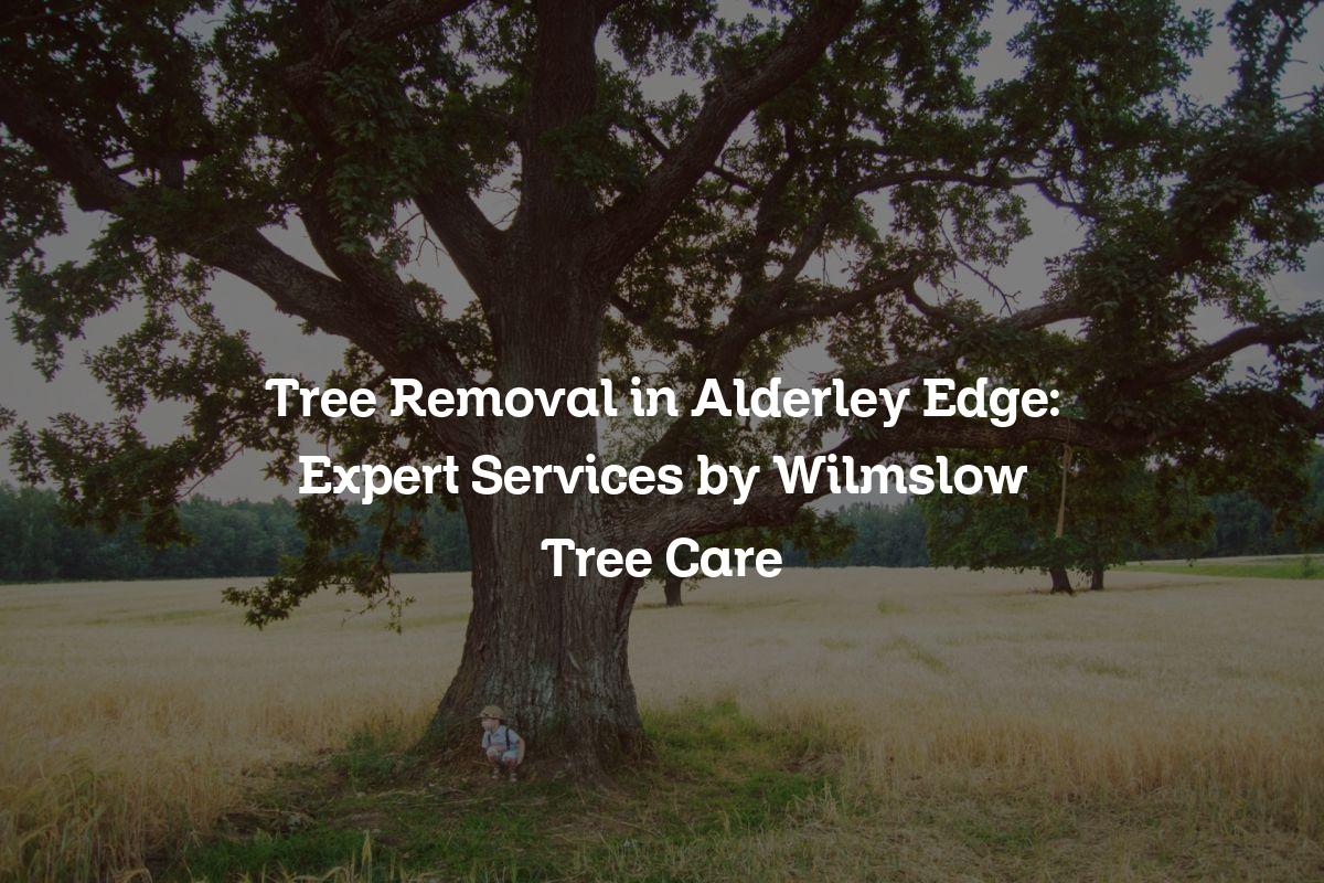 You are currently viewing Tree Removal in Alderley Edge: Expert Services by Wilmslow Tree Care