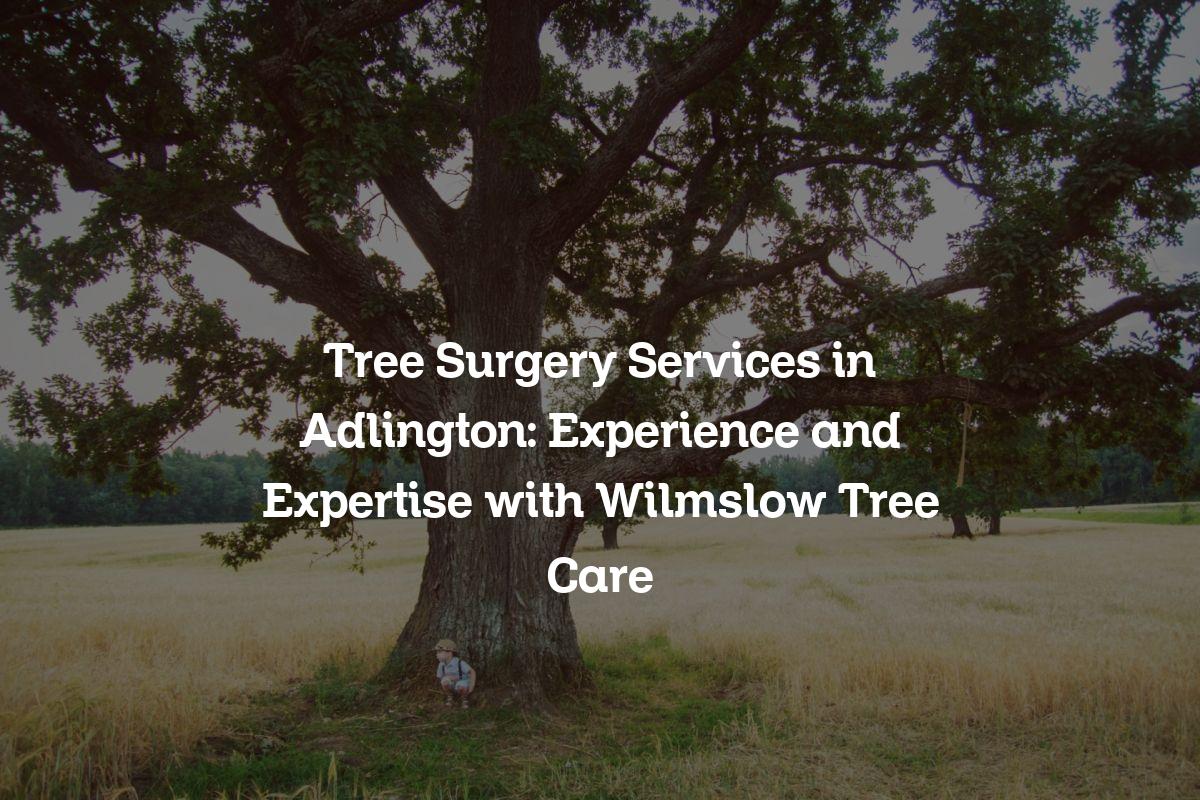 You are currently viewing Tree Surgery Services in Adlington: Experience and Expertise with Wilmslow Tree Care