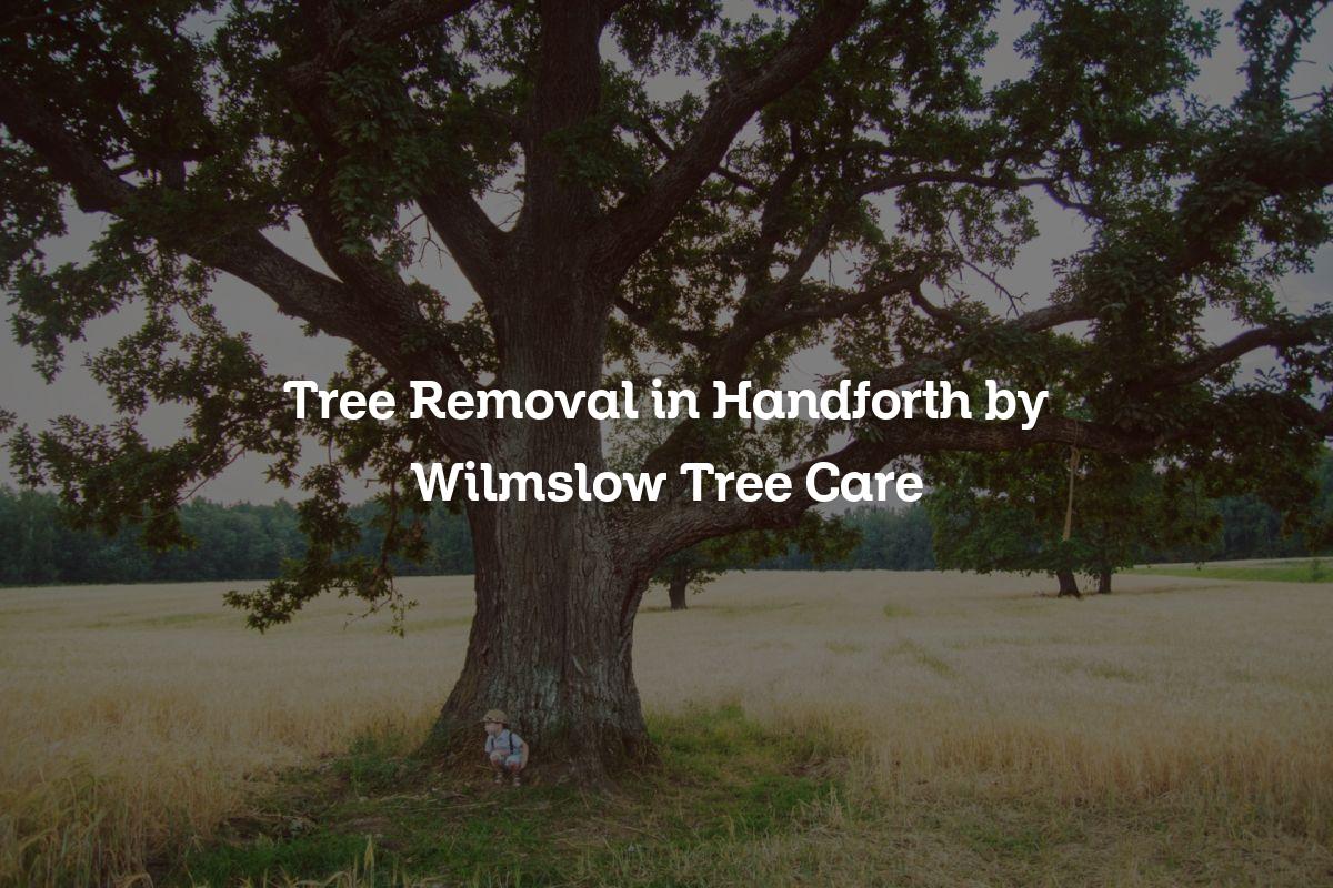 You are currently viewing Tree Removal in Handforth by Wilmslow Tree Care