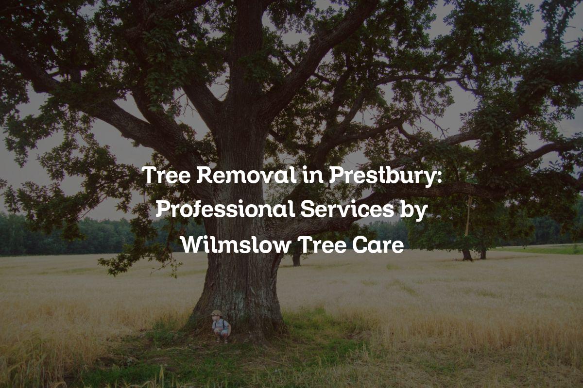 You are currently viewing Tree Removal in Prestbury: Professional Services by Wilmslow Tree Care