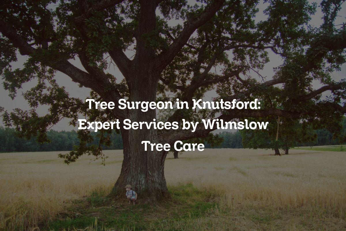 You are currently viewing Tree Surgeon in Knutsford: Expert Services by Wilmslow Tree Care
