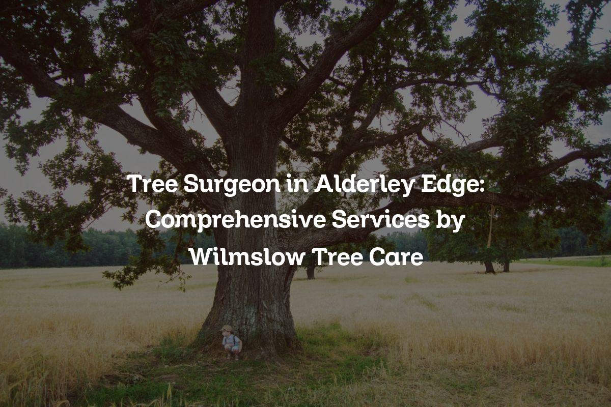 You are currently viewing Tree Surgeon in Alderley Edge: Comprehensive Services by Wilmslow Tree Care
