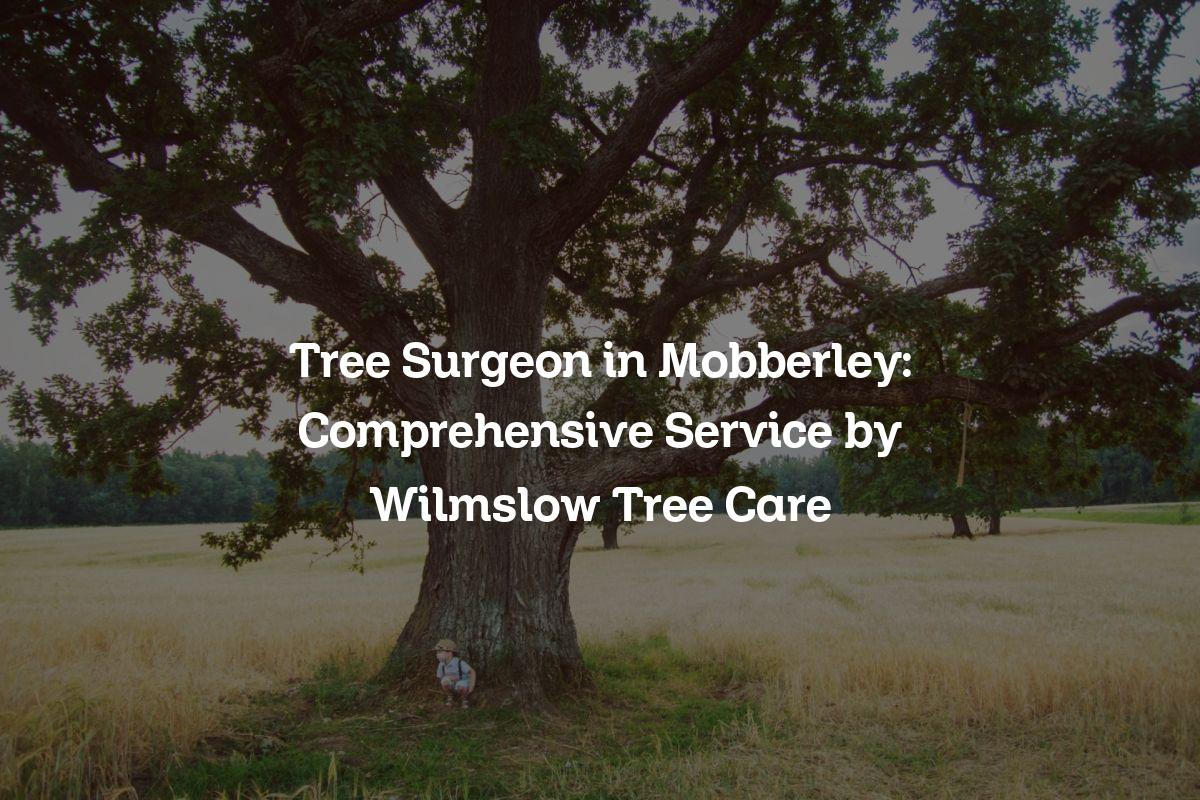 You are currently viewing Tree Surgeon in Mobberley: Comprehensive Service by Wilmslow Tree Care