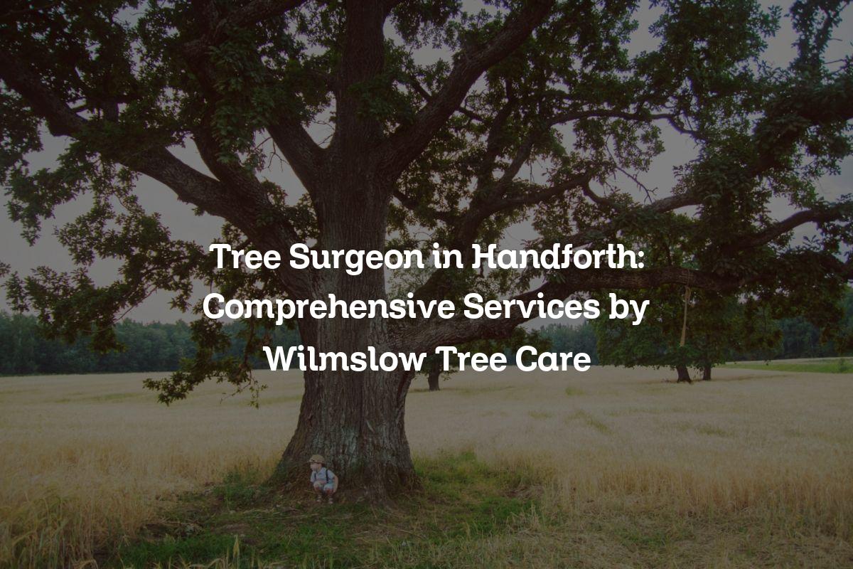 You are currently viewing Tree Surgeon in Handforth: Comprehensive Services by Wilmslow Tree Care