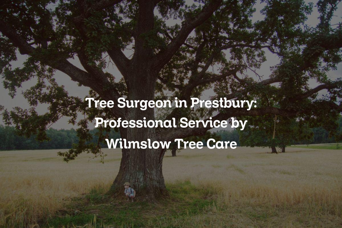 You are currently viewing Tree Surgeon in Prestbury: Professional Service by Wilmslow Tree Care