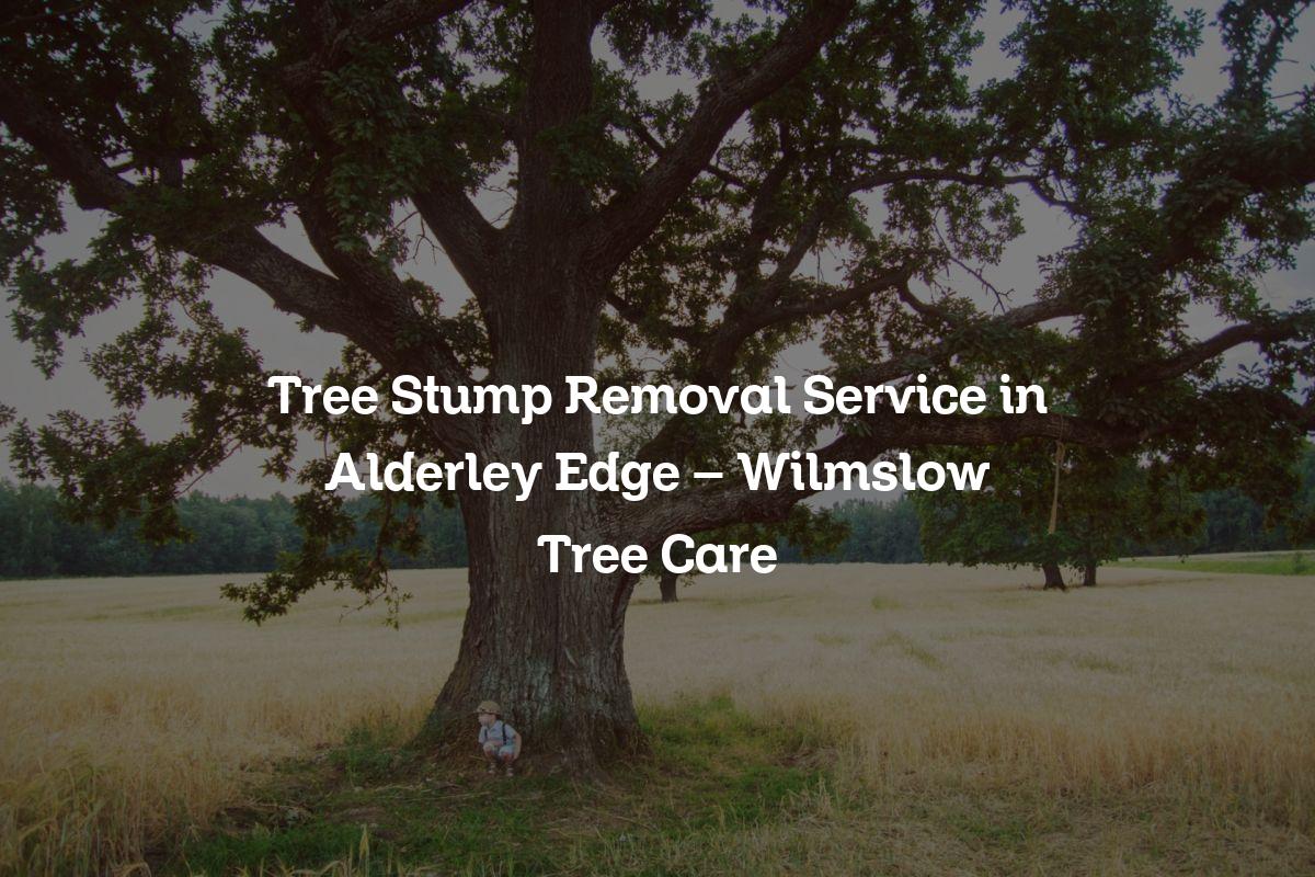 You are currently viewing Tree Stump Removal Service in Alderley Edge – Wilmslow Tree Care