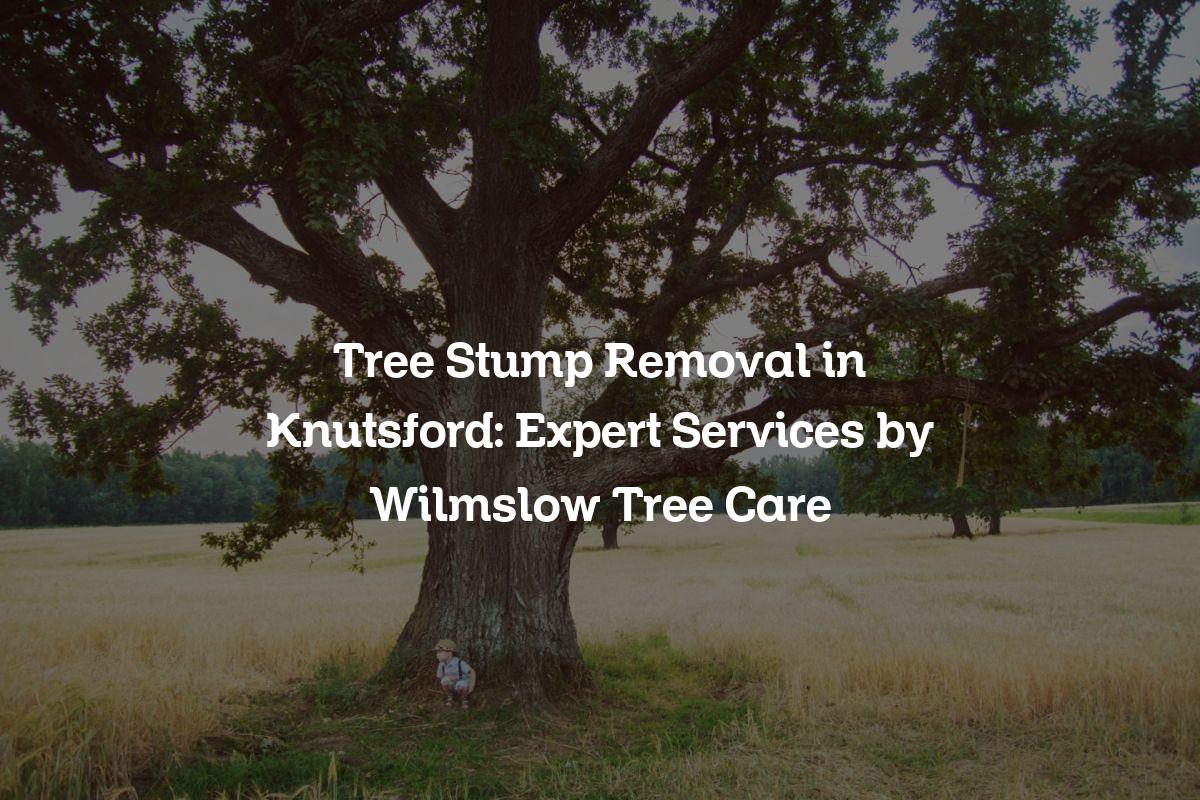 You are currently viewing Tree Stump Removal in Knutsford: Expert Services by Wilmslow Tree Care
