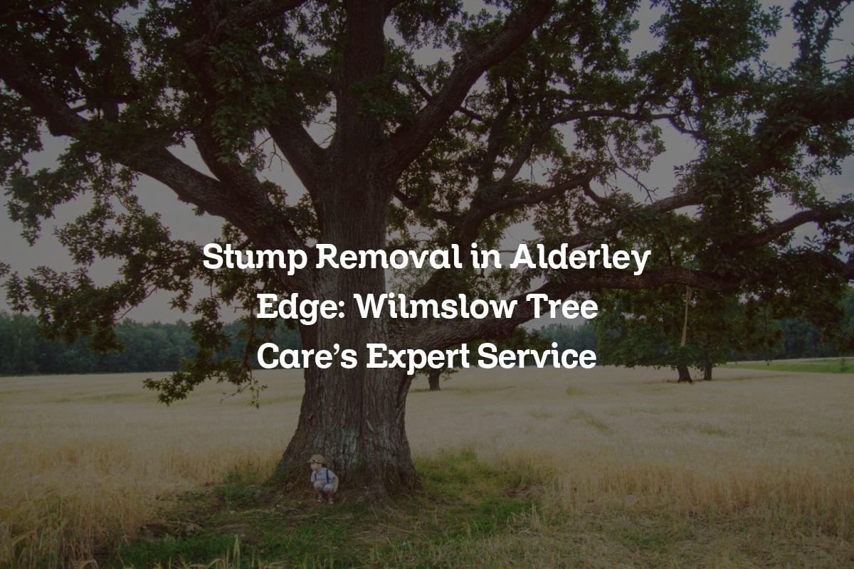 You are currently viewing Stump Removal in Alderley Edge: Wilmslow Tree Care’s Expert Service