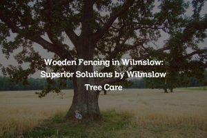 Read more about the article Wooden Fencing in Wilmslow: Superior Solutions by Wilmslow Tree Care