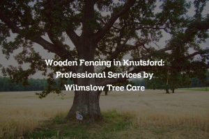 Read more about the article Wooden Fencing in Knutsford: Professional Services by Wilmslow Tree Care
