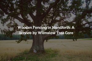 Read more about the article Wooden Fencing in Handforth: A Service by Wilmslow Tree Care