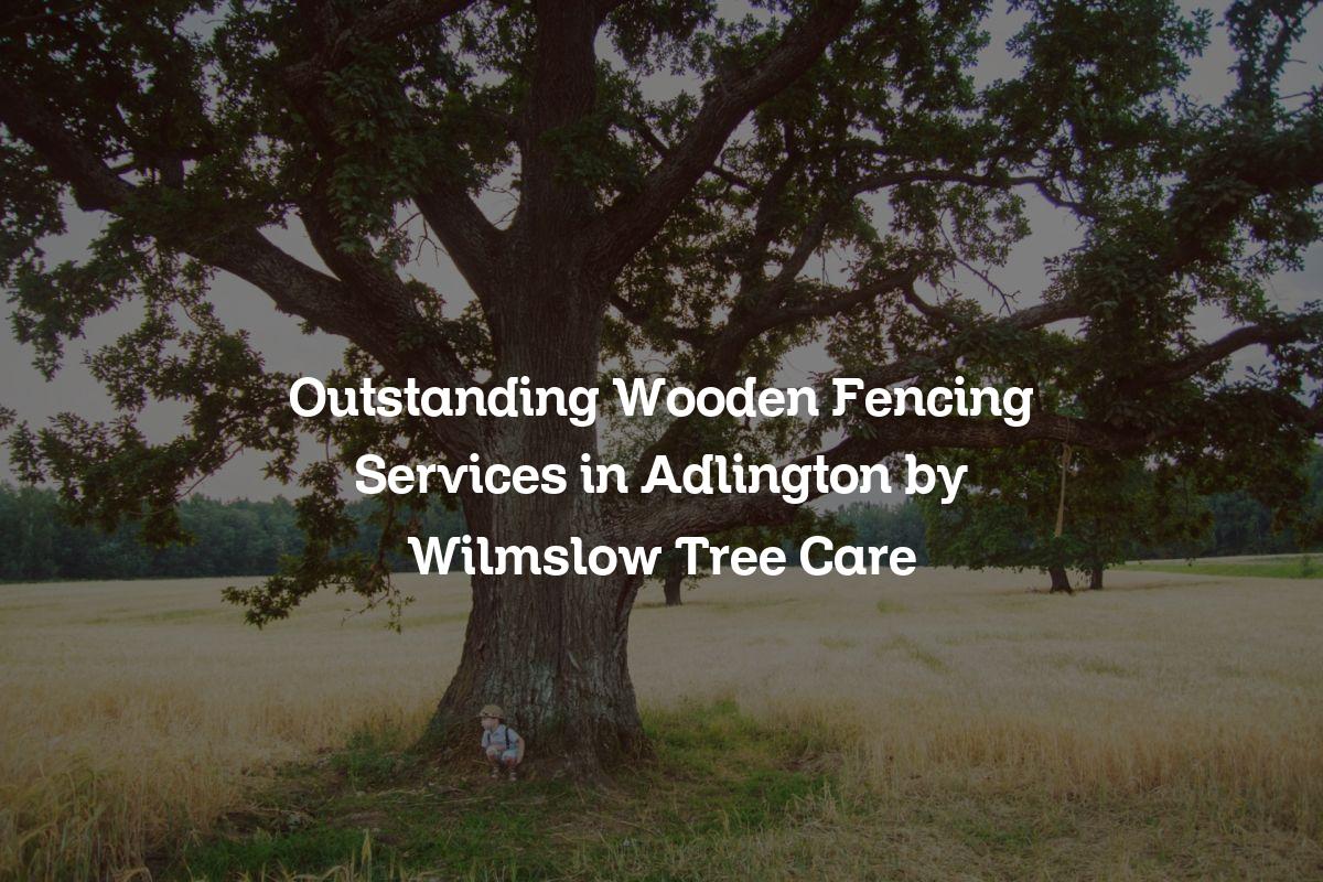 You are currently viewing Outstanding Wooden Fencing Services in Adlington by Wilmslow Tree Care