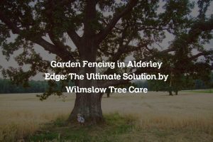 Read more about the article Garden Fencing in Alderley Edge: The Ultimate Solution by Wilmslow Tree Care