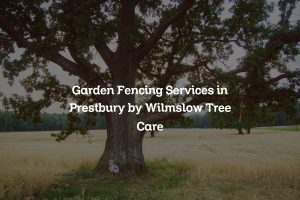 Read more about the article Garden Fencing Services in Prestbury by Wilmslow Tree Care