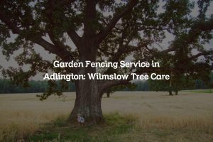 Read more about the article Garden Fencing Service in Adlington: Wilmslow Tree Care