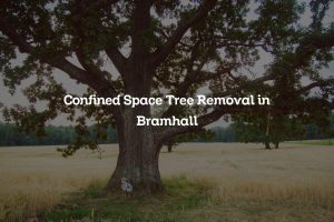 Read more about the article Confined Space Tree Removal in Bramhall