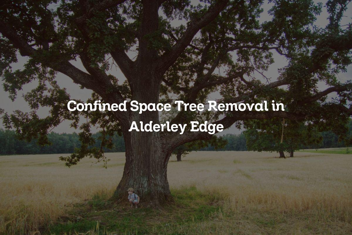 You are currently viewing Confined Space Tree Removal in Alderley Edge