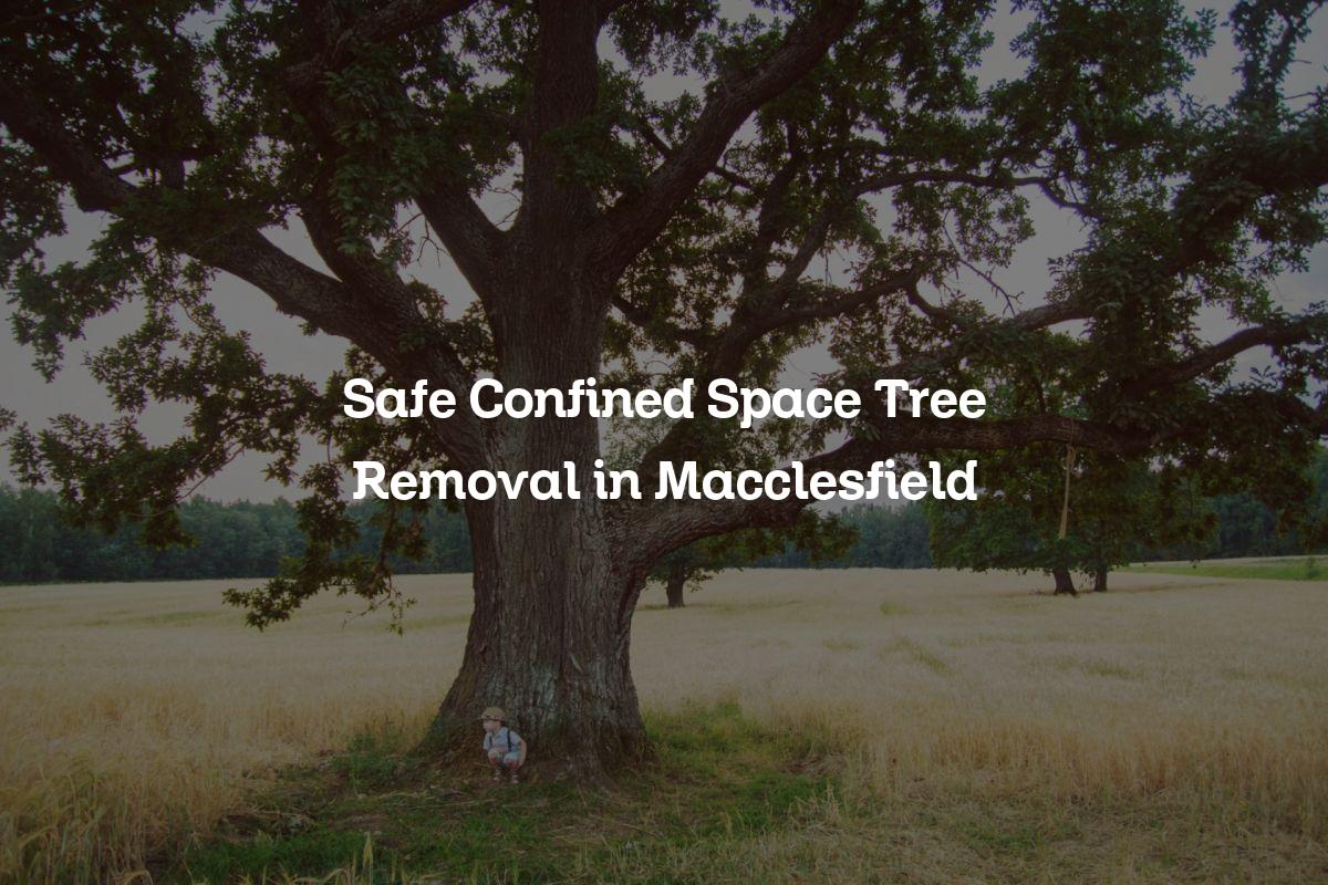 You are currently viewing Safe Confined Space Tree Removal in Macclesfield