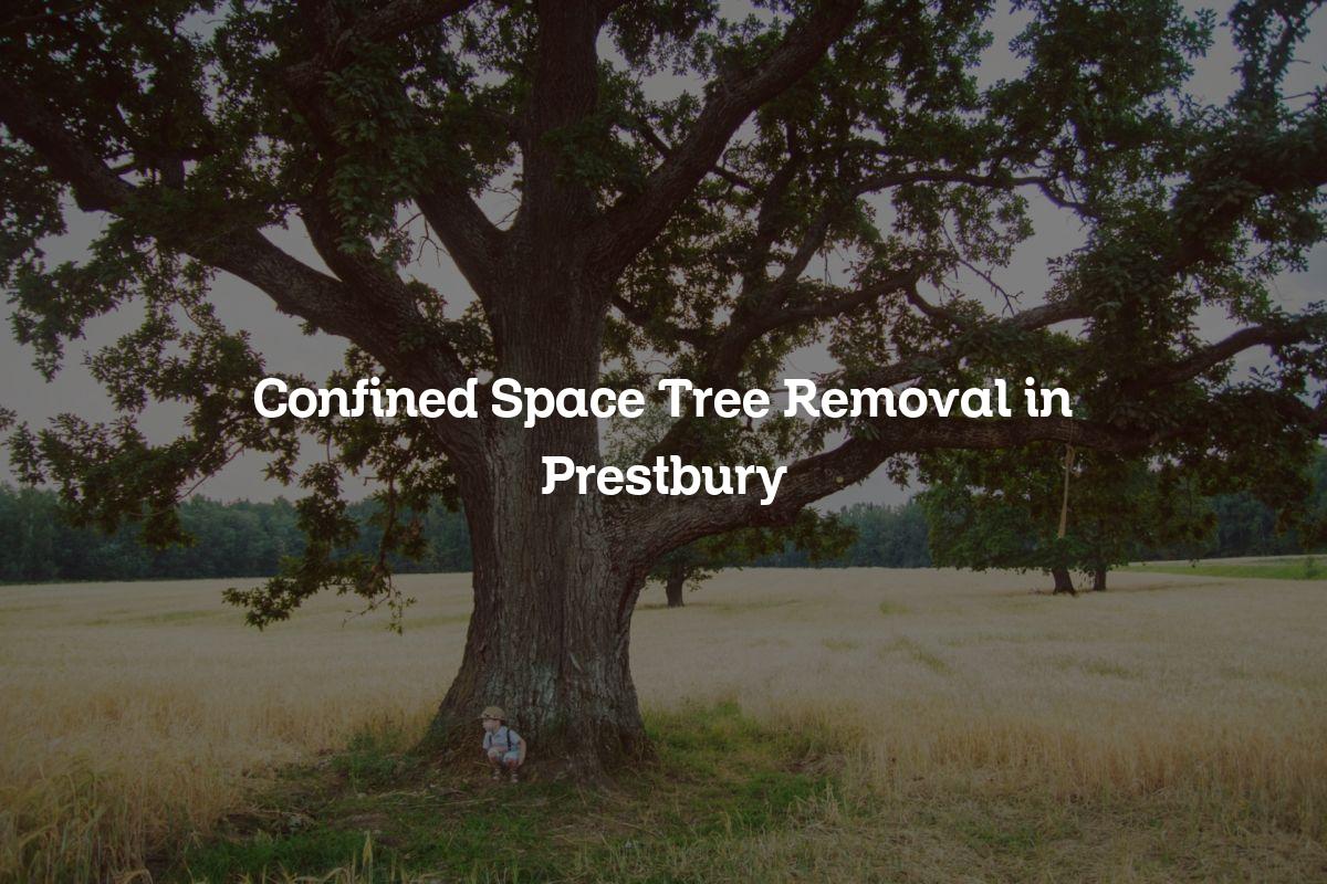 You are currently viewing Confined Space Tree Removal in Prestbury