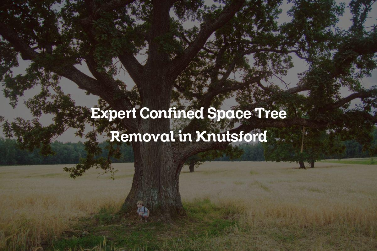 You are currently viewing Expert Confined Space Tree Removal in Knutsford