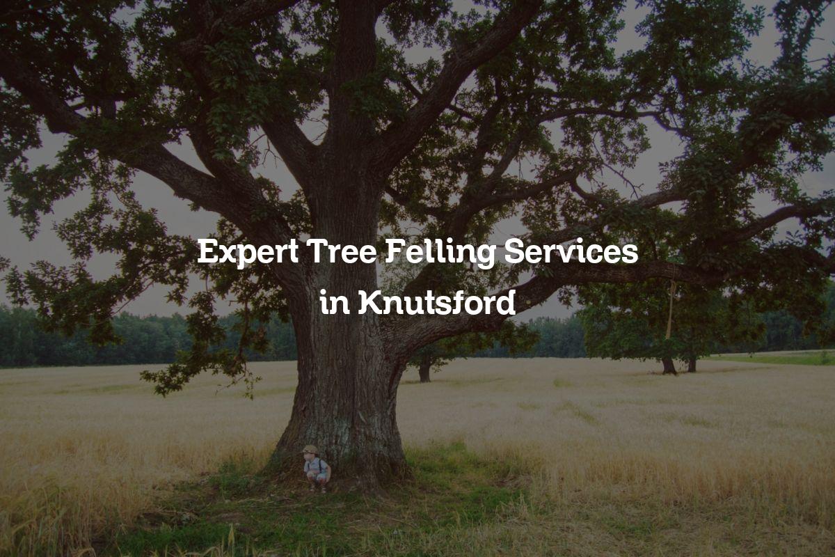 You are currently viewing Expert Tree Felling Services in Knutsford