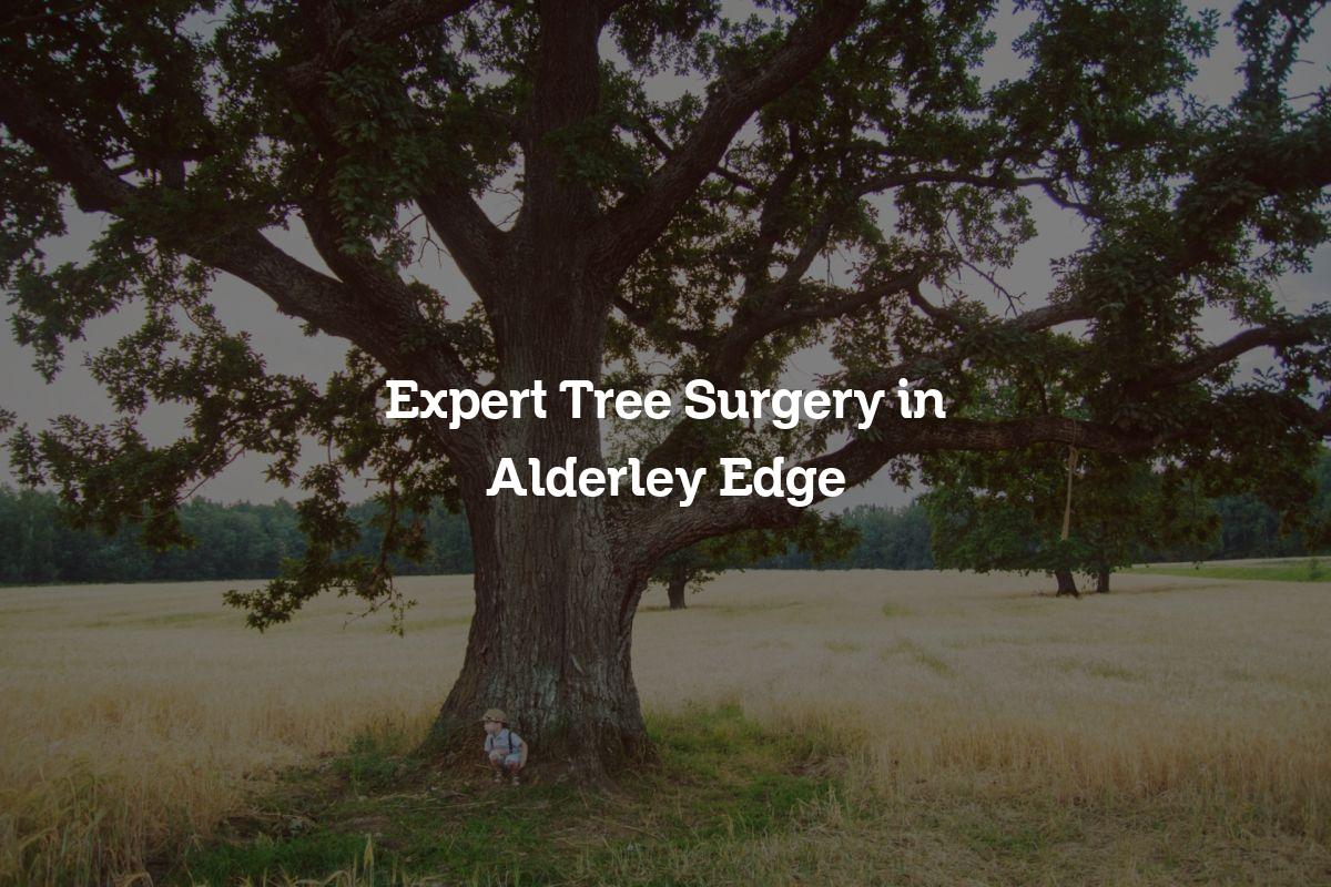 You are currently viewing Expert Tree Surgery in Alderley Edge