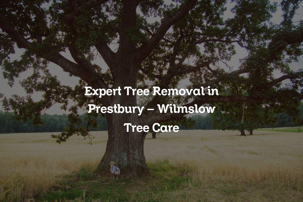 You are currently viewing Expert Tree Removal in Prestbury – Wilmslow Tree Care