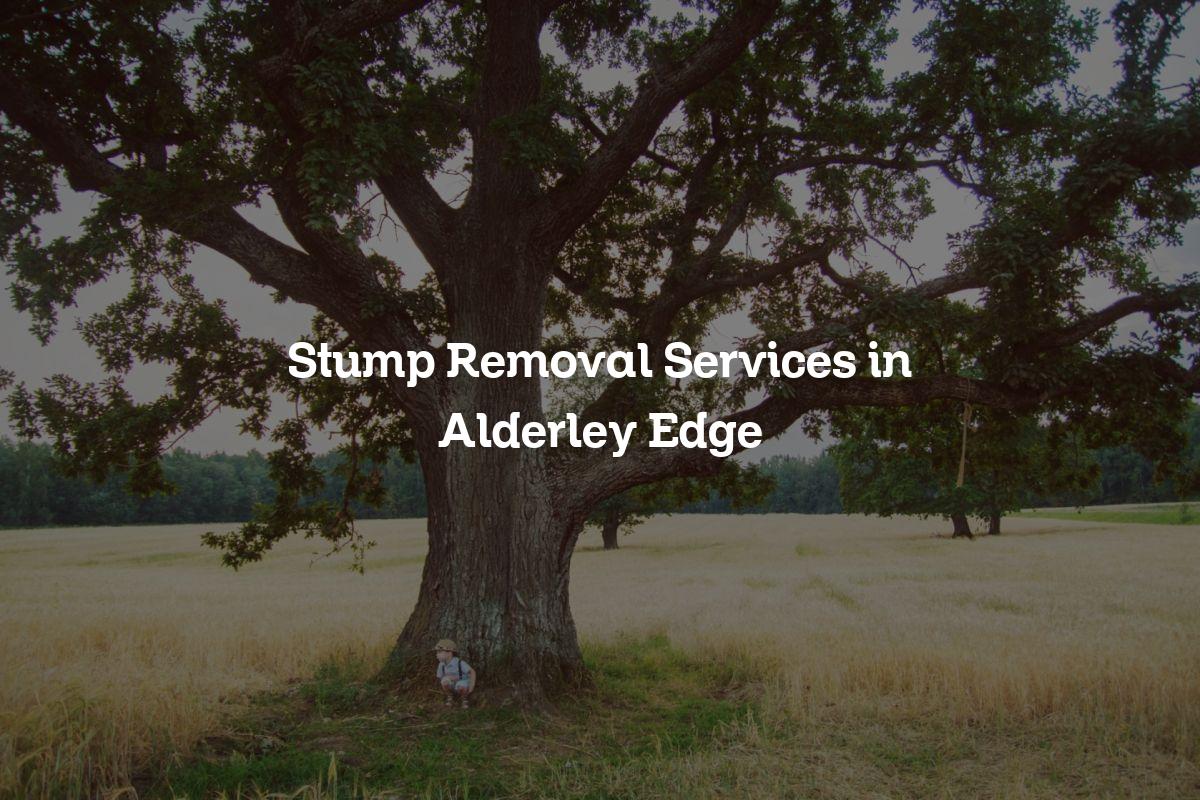 You are currently viewing Stump Removal Services in Alderley Edge