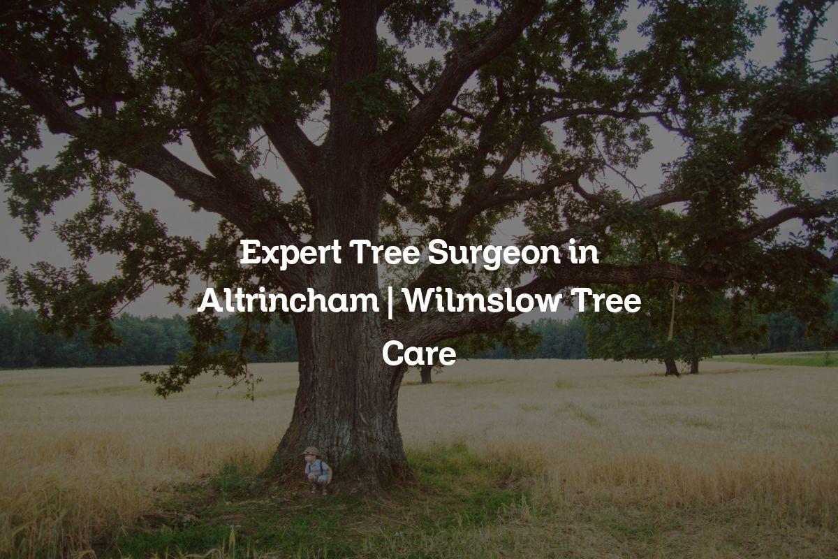 You are currently viewing Expert Tree Surgeon in Altrincham | Wilmslow Tree Care