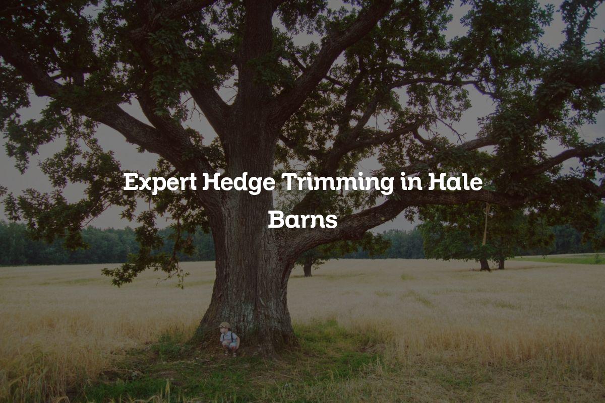 You are currently viewing Expert Hedge Trimming in Hale Barns